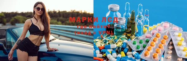 прущие грибы Каменка