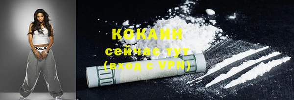 прущие грибы Каменка