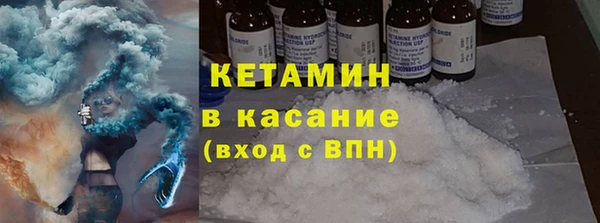 прущие грибы Каменка