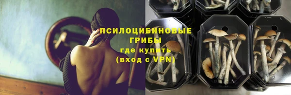 мдпв Каменск-Шахтинский