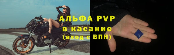 прущие грибы Каменка