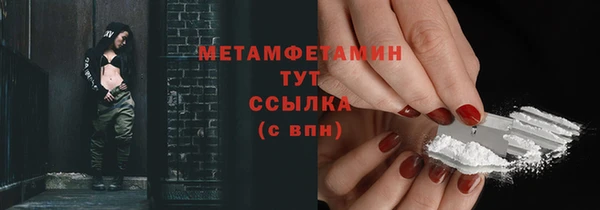 прущие грибы Каменка
