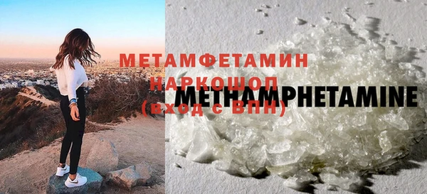 прущие грибы Каменка