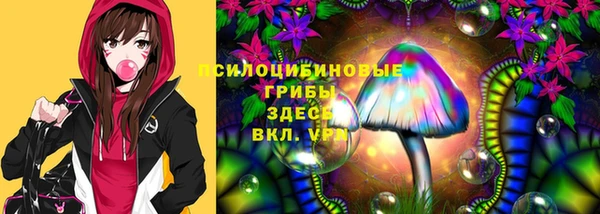 mdma Каменногорск