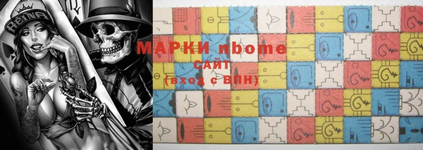 прущие грибы Каменка