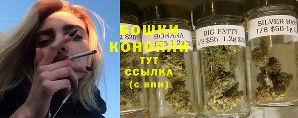 прущие грибы Каменка