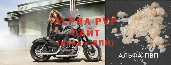 прущие грибы Каменка